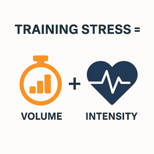 Understanding Training Stress